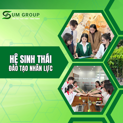 Đào Tạo Nguồn Nhân Lực Phát Triển Kinh Tế Số, Bền Vững
